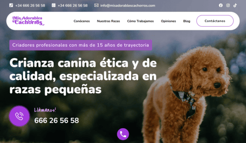 proyecto web wordpress