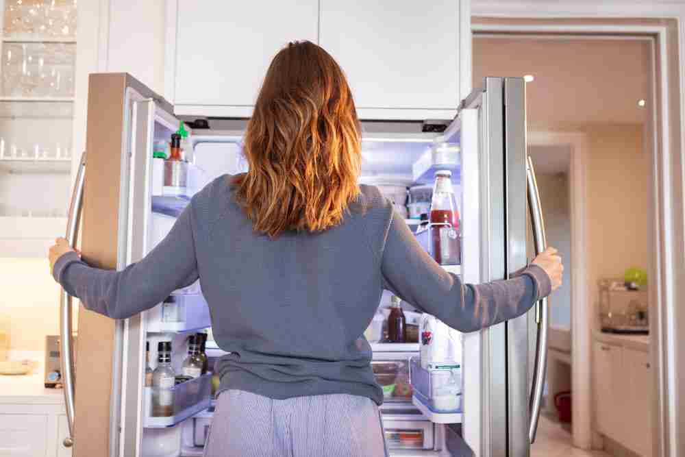 diferencia entre nevera frigorifico refrigerador refrigeradora